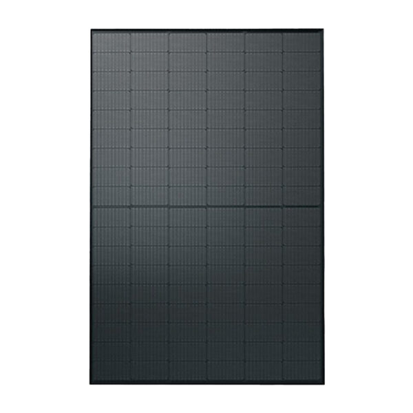 Module CANADIAN CS6.2 48TD-450W Toute noire